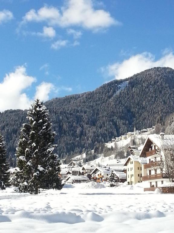 Hotel Stella Alpina Falcade Exterior photo